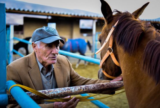 Amir Amanollah Khan, Current head of the Dareshuri tribe of the Qashqai people approaches a horse for branding it with his "Daghe Do" Iron Brand