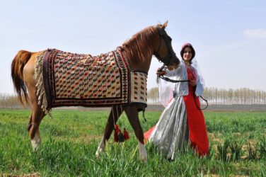 Shahpar - Famous Dareshuri Mare and Girl in Tribal Costume
