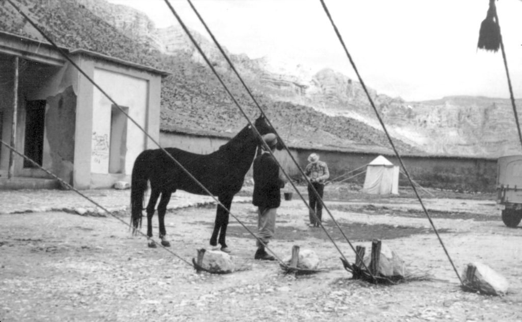 Orientalists taking picture of Dareshuri Daghe Do horse