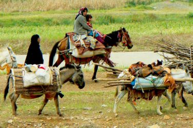 Iran Nomadic Migrations of the Qashqai Tribes